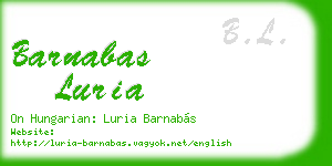 barnabas luria business card